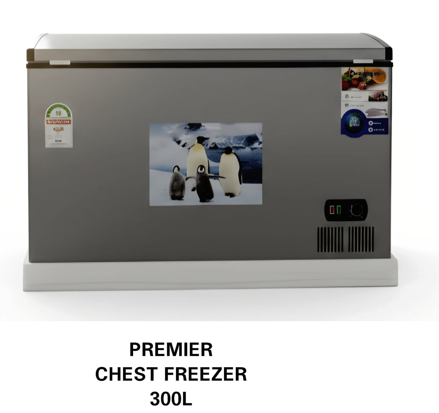 300L Freezer