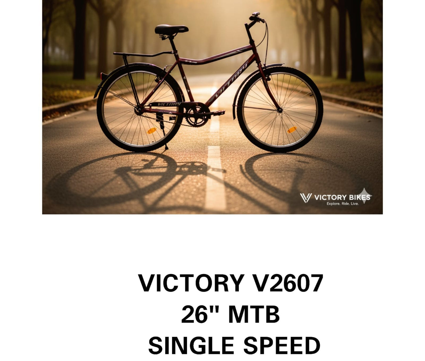 Victory V2607 26" MTB Single speed