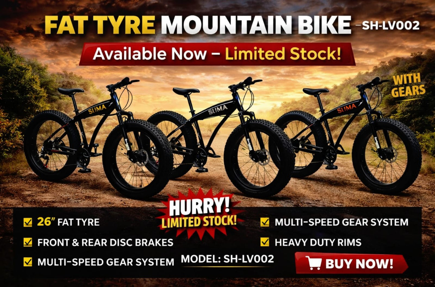 Fat Tyre Mountain Bike