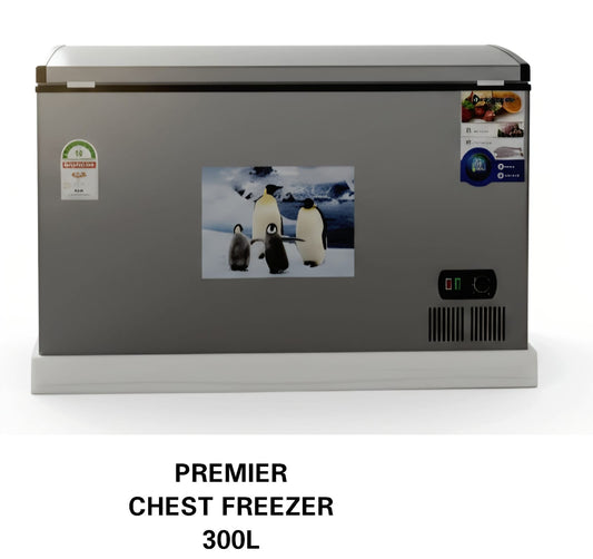 300L Freezer