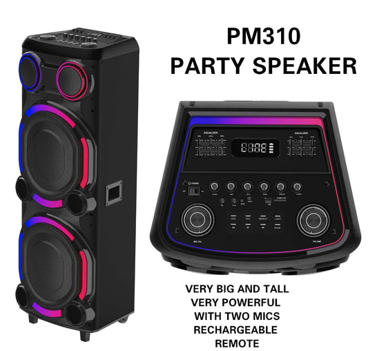 PM310 Party Speaker